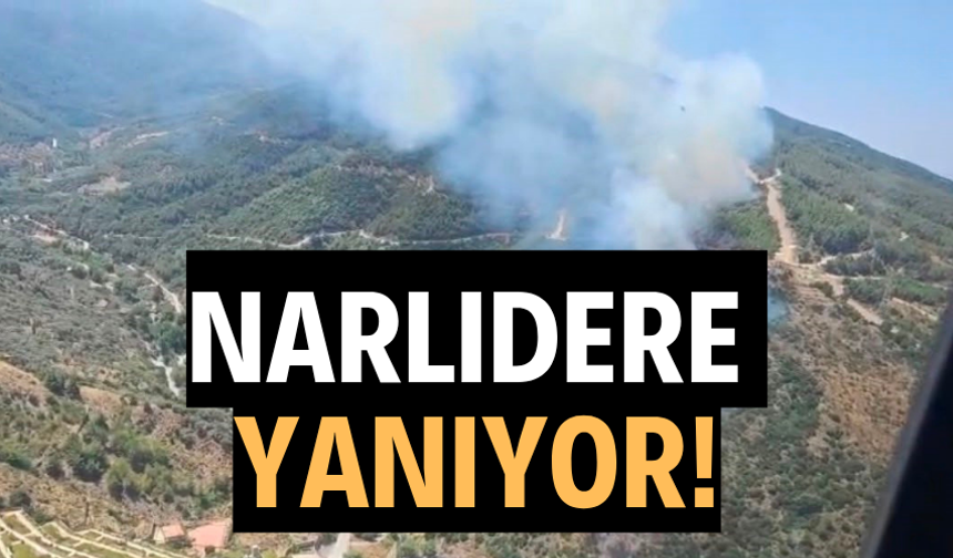 Narlıdere'deki orman yangınına havadan ve karadan müdahale