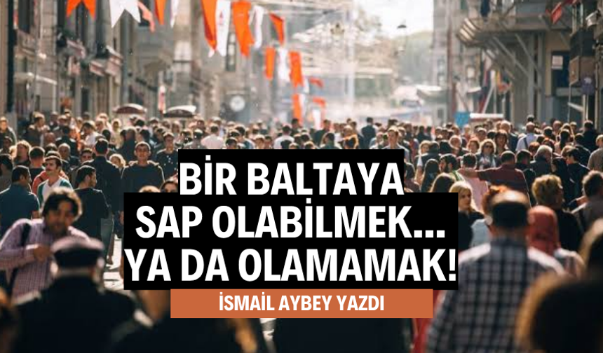 BİR BALTAYA SAP OLABİLMEK... YA DA OLAMAMAK!