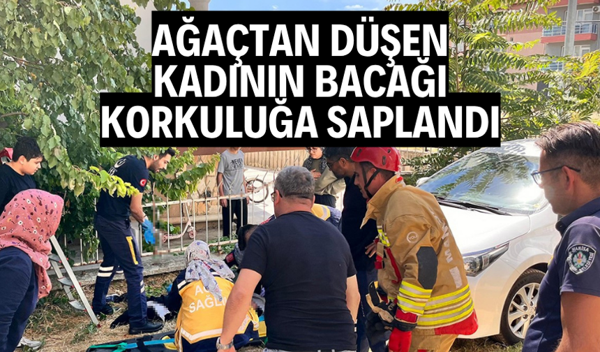 Ağaçtan düşen kadının bacağı demir korkuluğa saplandı