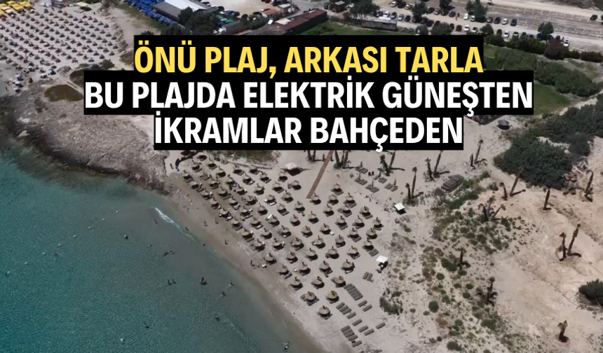 Önü plaj, arkası tarla: Bu plajda elektrik güneşten, ikramlar bahçeden