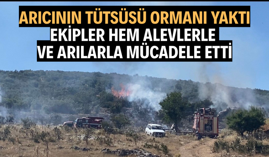 Arıcının tütsüsü ormanı yaktı, ekipler alevlerle ve arılarla mücadele etti