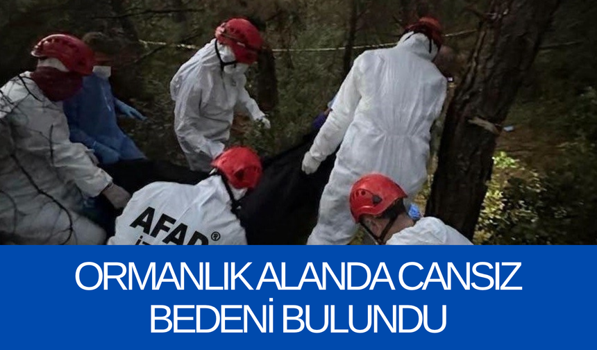 Ormanlık alanda cansız bedeni bulundu