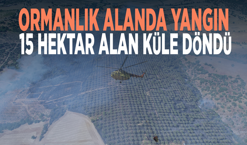 Ormanlık alanda yangın: 15 hektar alan küle döndü