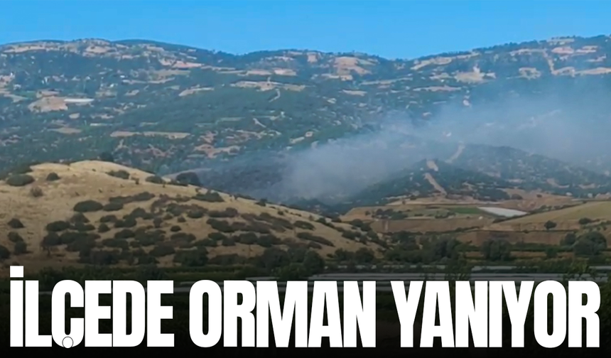 İlçede orman yangını başladı