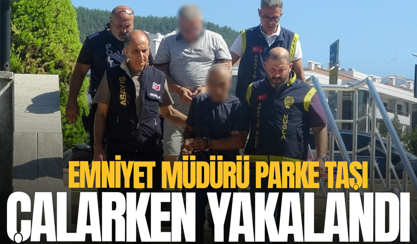 Parke taşını bu kez emniyet müdürü çaldı