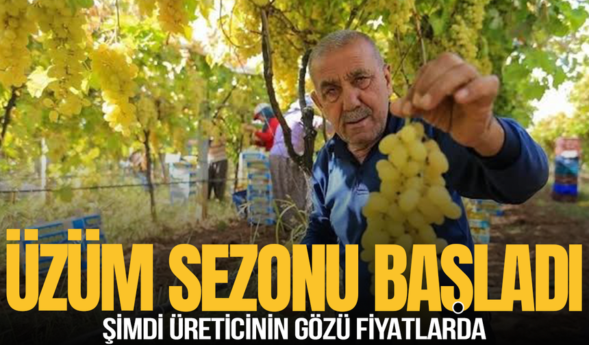 Bu yıl üzüm fiyatları ne kadar olacak? Ziraat Odası Başkanından açıklama