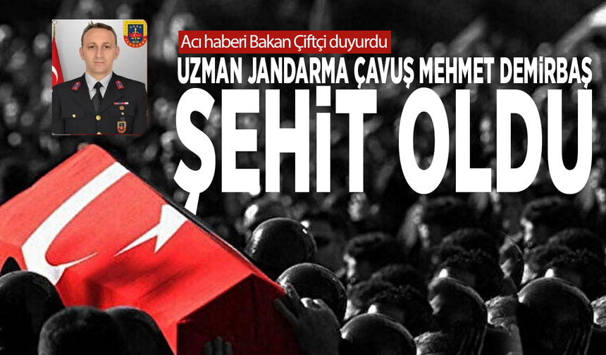 Acı haberi Bakan Çiftçi duyurdu: Uzman Jandarma Çavuş Mehmet Demirbaş şehit oldu