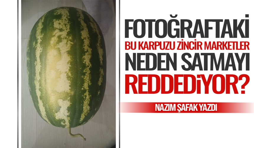Fotoğraftaki bu karpuzu zincir marketler neden satmayı reddediyor?