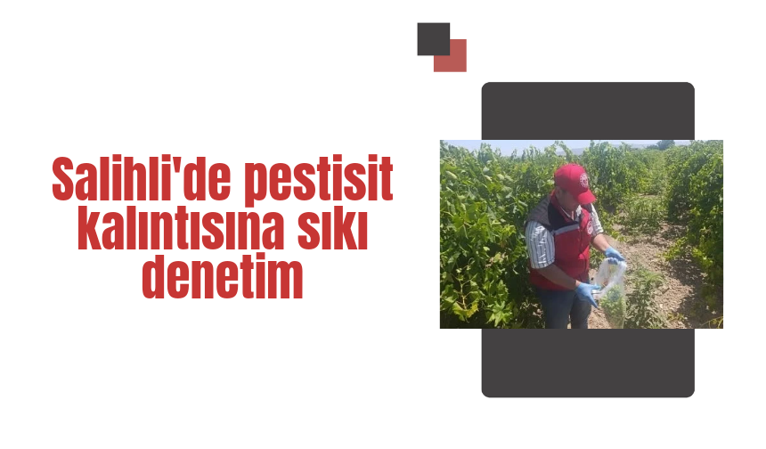 Salihli'de pestisit kalıntısına sıkı denetim