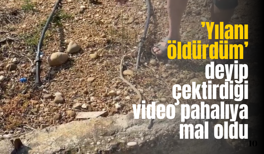 ’Yılanı öldürdüm’ deyip çektirdiği video pahalıya mal oldu