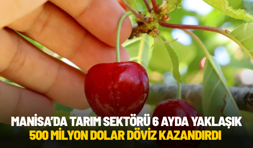 MANİSA’DA TARIM SEKTÖRÜ 6 AYDA YAKLAŞIK 500 MİLYON DOLAR DÖVİZ KAZANDIRDI