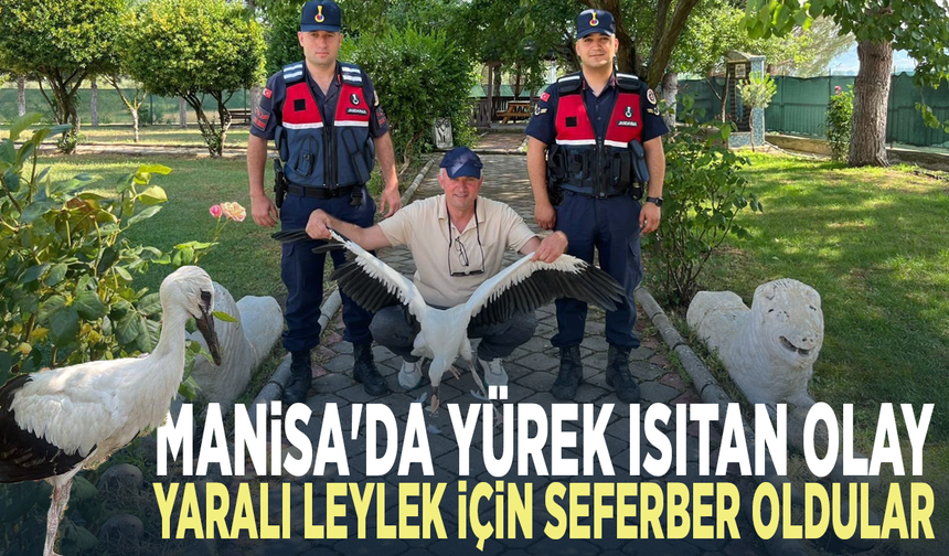 Manisa'da yürek ısıtan olay.. Yaralı leylek için seferber oldular