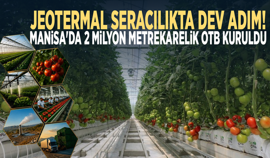 Jeotermal seracılıkta dev adım! Manisa'da 2 milyon metrekarelik OTB kuruldu