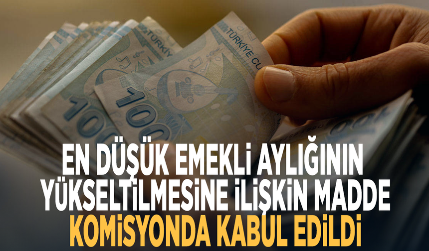 En düşük emekli aylığının yükseltilmesine ilişkin madde komisyonda kabul edildi