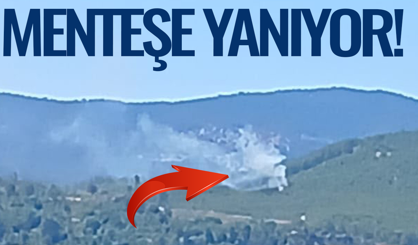 Menteşe’de orman yangını