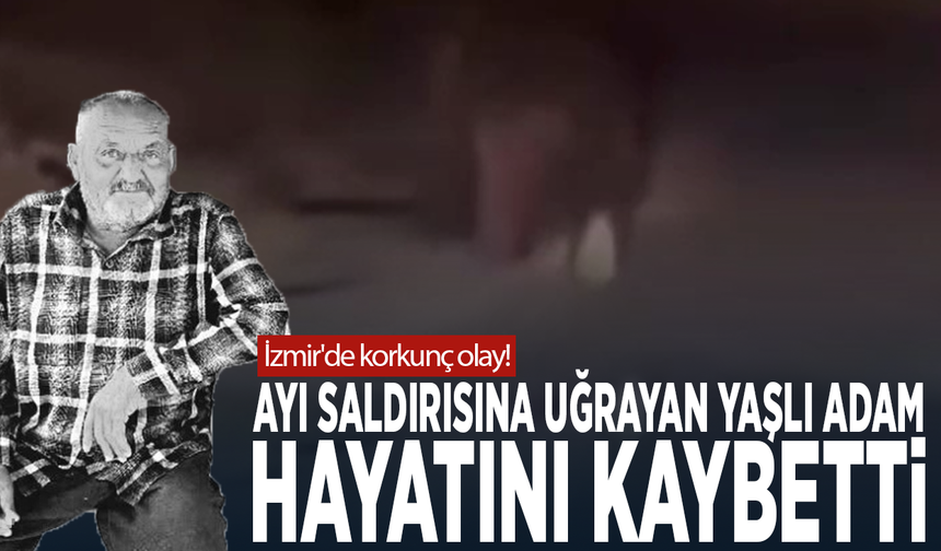 İzmir'de korkunç olay! Ayı saldırısına uğrayan yaşlı adam hayatını kaybetti