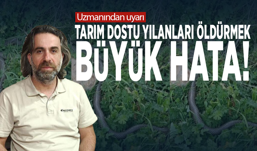 Uzmanından uyarı: Tarım Dostu Yılanları Öldürmek Büyük Hata!