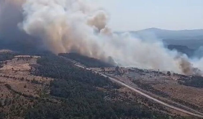 Çanakkale'de orman yangını