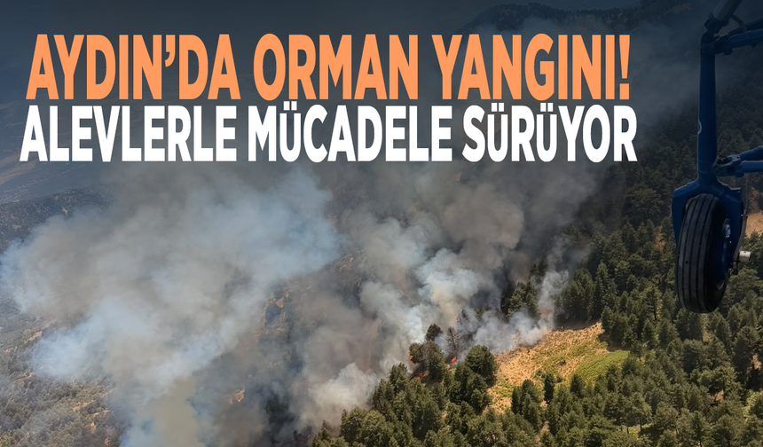 Aydın’da orman yangını! Alevlerle mücadele sürüyor