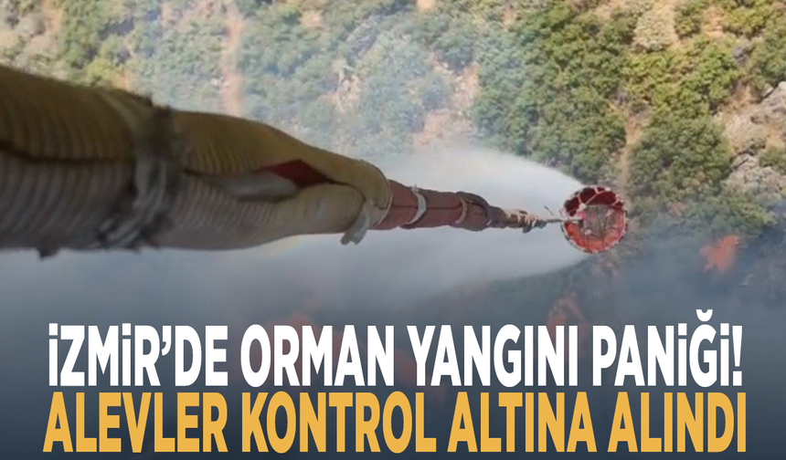 İzmir’de orman yangını paniği! Alevler kontrol altına alındı