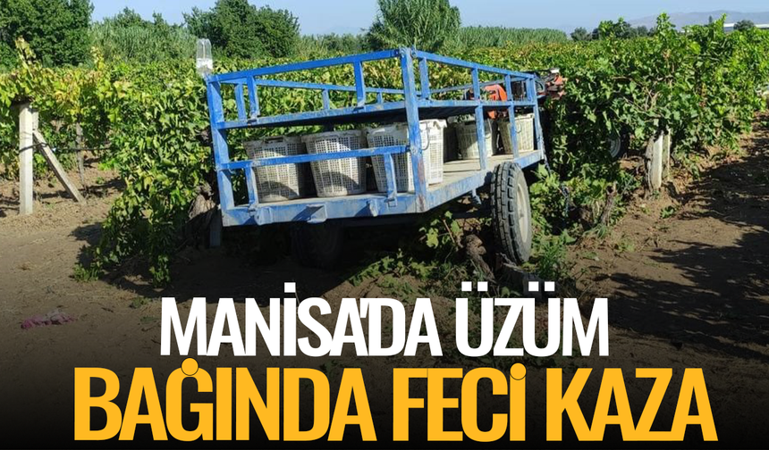 Manisa'da üzüm bağında feci kaza: Traktörün altında kalan kadın hayatını kaybetti