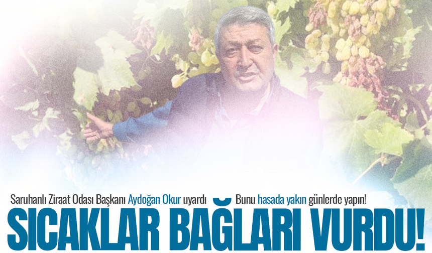 Manisa'da sıcaklar bağları vurdu!