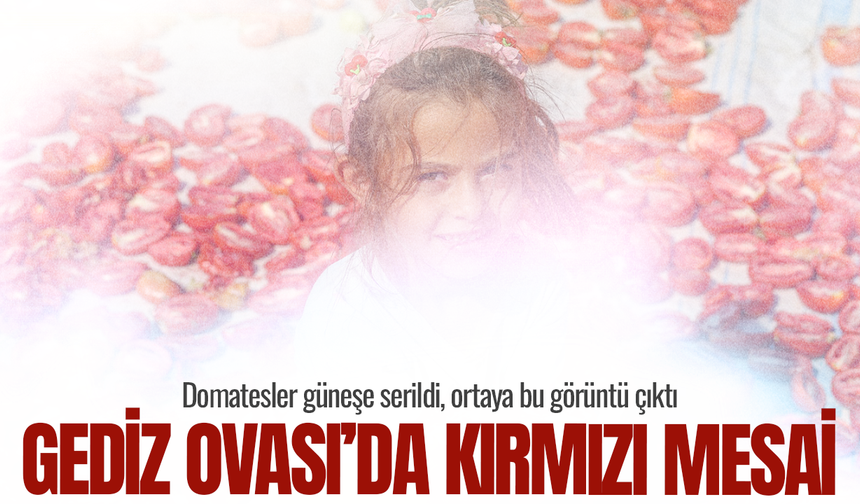 Gediz Ovası’nda kırmızı şölen: Domatesler böyle kurutuluyor