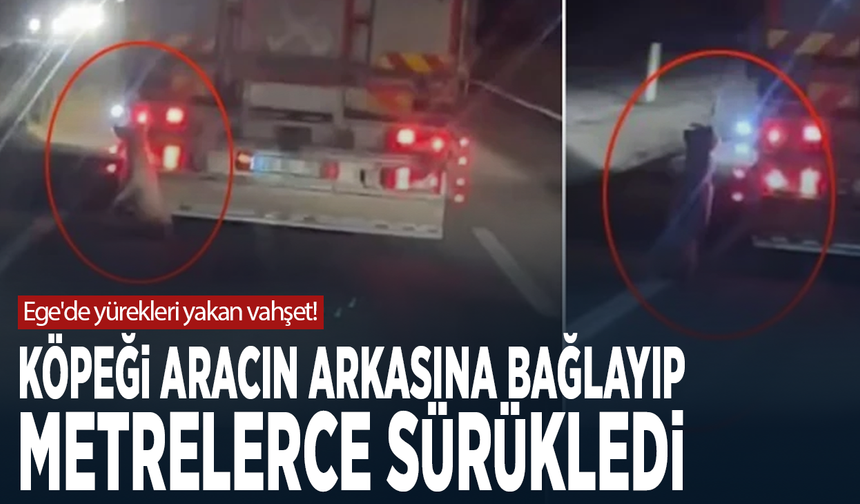 Ege'de yürekleri yakan vahşet! Köpeği aracın arkasına bağlayıp metrelerce sürükledi