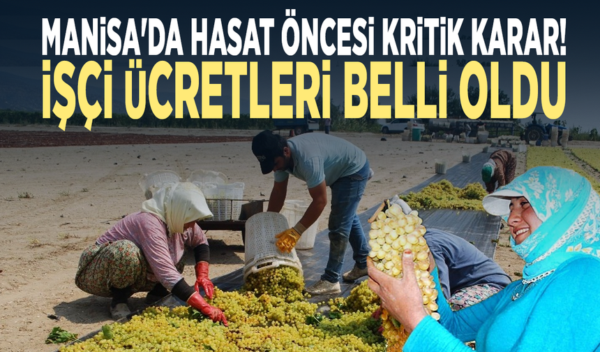 Manisa'da hasat öncesi kritik karar! İşçi ücretleri belli oldu