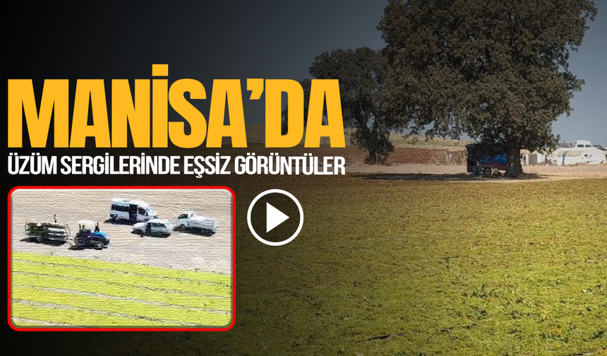 Manisa’da üzüm sergilerinde eşsiz görüntüler