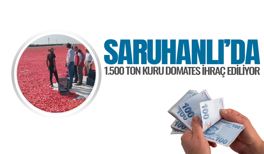 Saruhanlı'da kurutmalık domates ekonomiye güç katıyor