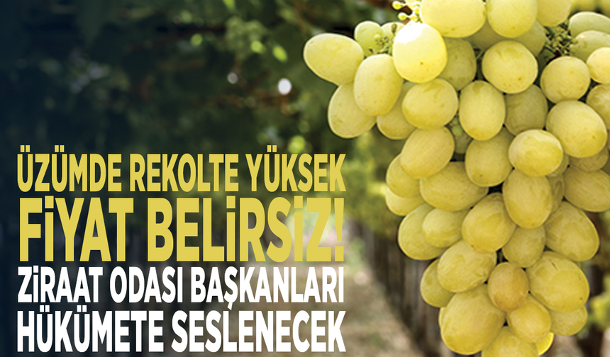 Üzümde rekolte yüksek, fiyat belirsiz! Ziraat Odası başkanları hükümete seslenecek