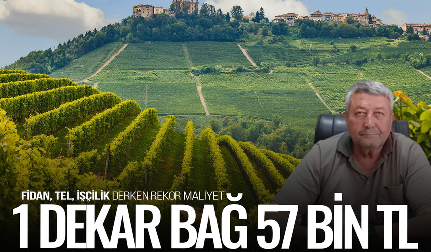 Başkan Okur Yeni Tesis Edilen Üzüm Bağının Maliyetini Açıkladı