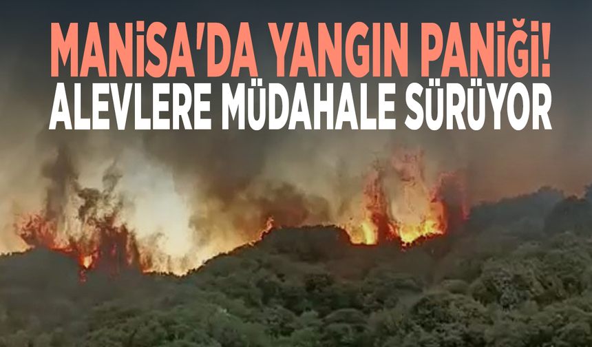Manisa'da yangın paniği! Alevlere müdahale sürüyor