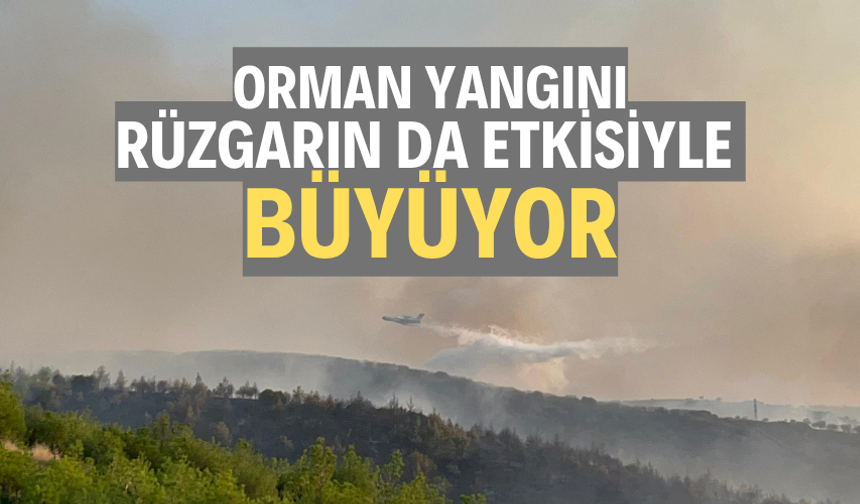 Orman yangınına havadan ve karadan müdahale sürüyor