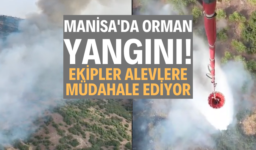 Manisa'da Orman Yangını: Ekipler Alevlere Müdahale Ediyor