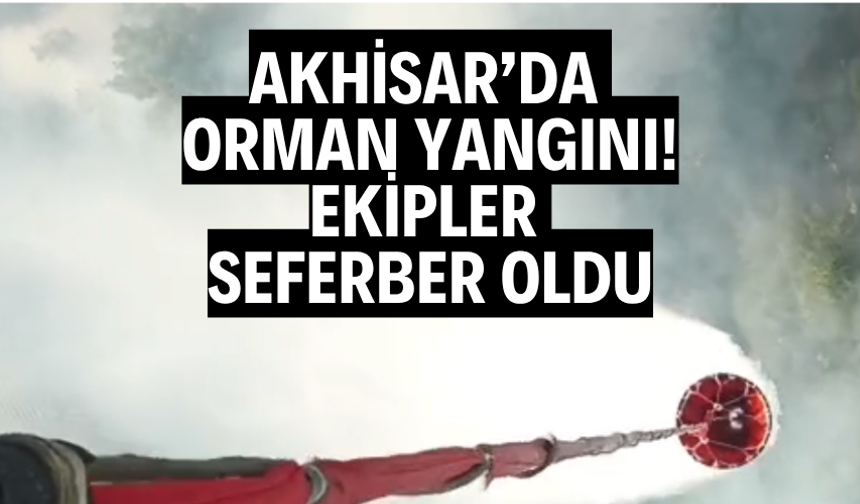 Akhisar’da Orman Yangını: Ekipler Seferber Oldu