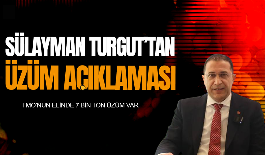 Süleyman Turgut'tan kritik üzüm açıklaması: TMO'nun elinde 7 bin ton üzüm var