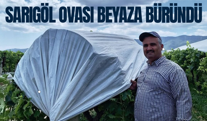 Sarıgöl Ovası beyaza büründü