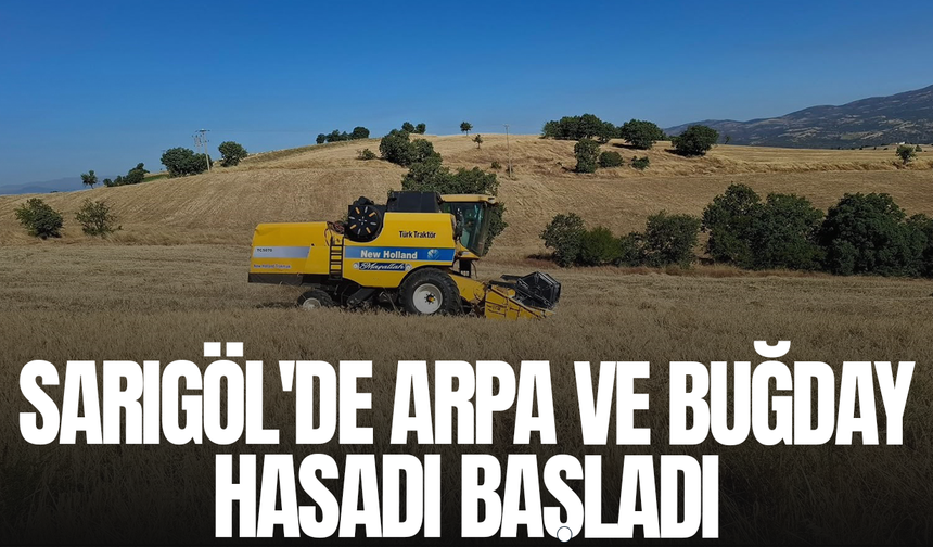 Sarıgöl'de arpa ve buğday hasadı başladı