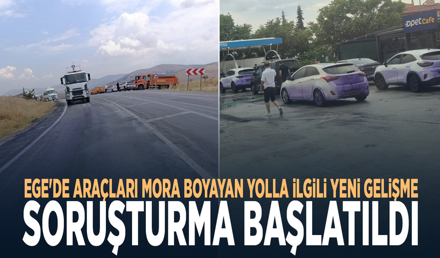 Ege'de araçları mora boyayan yolla ilgili yeni gelişme: Soruşturma başlatıldı