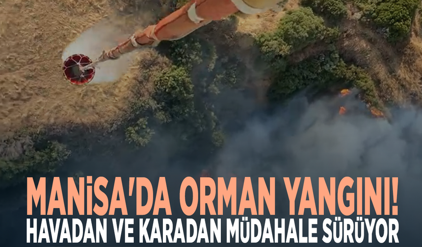 Manisa'da orman yangını! Havadan ve karadan müdahale sürüyor