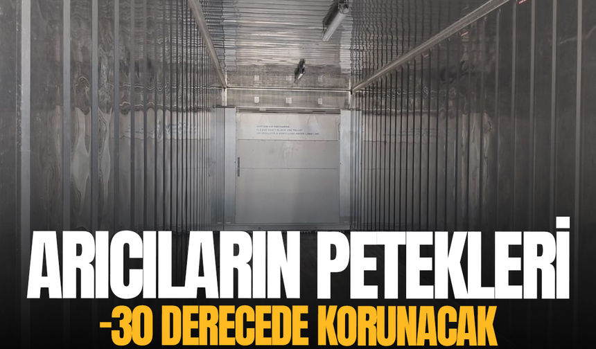 Manisa’da arıcıların peteklerini koruyacak proje hayata geçiyor