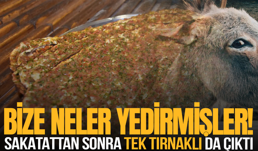 Manisa’da lahmacun harcında tek tırnaklı eti tespit edildi