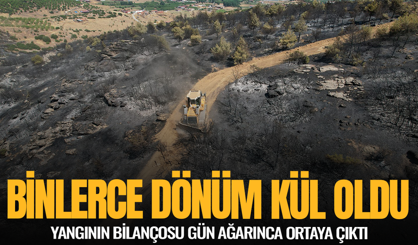 Manisa'da bilerce dönüm orman kül oldu