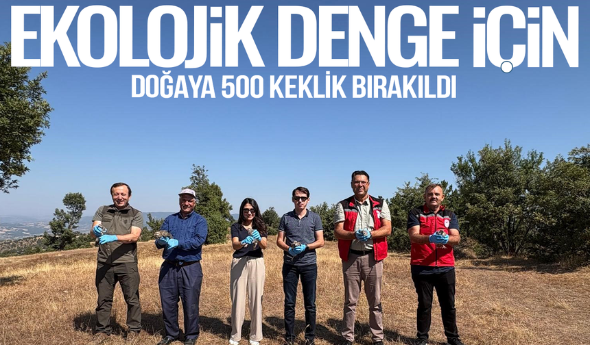 Manisa'da doğaya 500 keklik bırakıldı