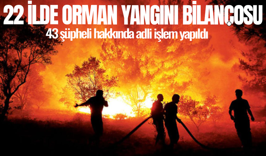 22 ilde orman yangını bilançosu