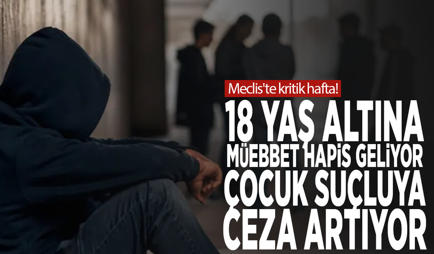 Meclis'te kritik hafta! 18 yaş altına müebbet hapis geliyor, çocuk suçluya ceza artıyor