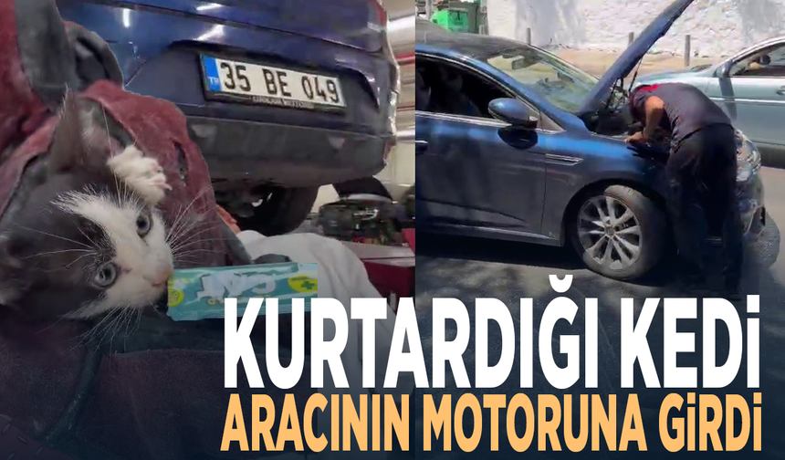 Kurtardığı kedi aracının motoruna girdi