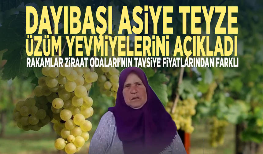 Dayıbaşı Asiye Teyze üzüm yevmiyelerini açıkladı... Rakamlar Ziraat Odaları'nın tavsiye fiyatlarından farklı